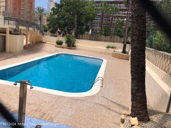 SE VENDE APARTAMENTO EN BENIDORM DE DOS DORMITORIOS - ALICANTE