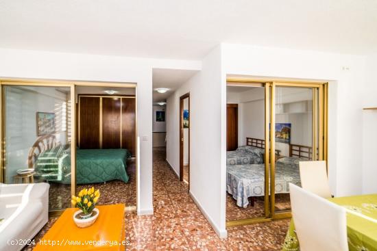 SE VENDE APARTAMENTO EN BENIDORM DE DOS DORMITORIOS - ALICANTE