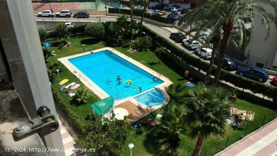 Alquiler en el centro de Benidorm - ALICANTE