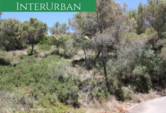 Preciosa parcela urbana en Urb. Monte Horquera con vistas panoramicas - VALENCIA