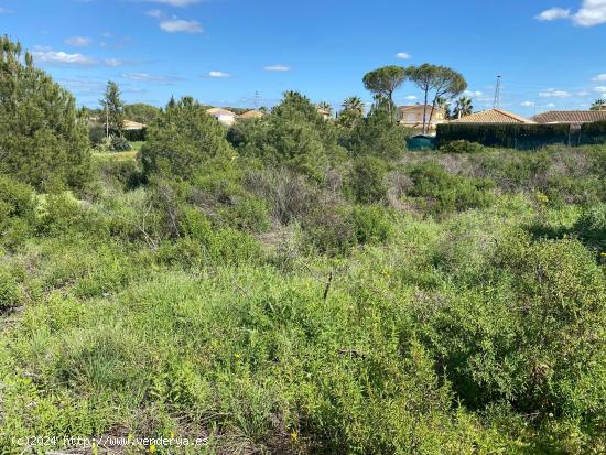 Terreno Rustico en la Dehesa de Golf - HUELVA