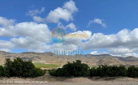  GRAN TERRENO RUSTICO EDIFICABLE DE 20.000 M2 - ref 1044 - MURCIA 