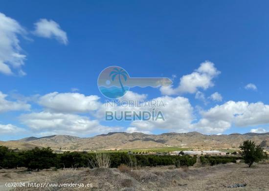 GRAN TERRENO RUSTICO EDIFICABLE DE 20.000 M2 - ref 1044 - MURCIA