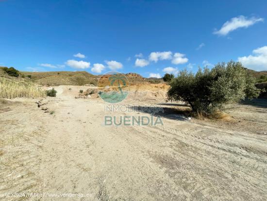 GRAN TERRENO RUSTICO EDIFICABLE DE 20.000 M2 - ref 1044 - MURCIA