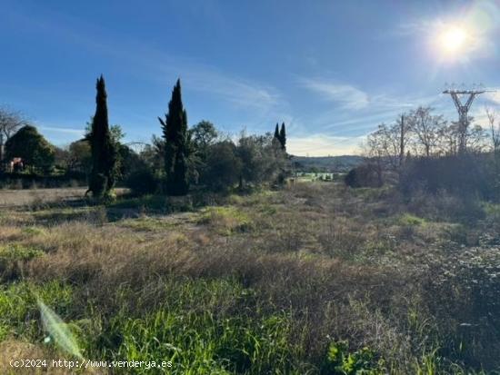 CASABANCO VENDE FINCA CON HOTEL EN MADROÑERA - CACERES