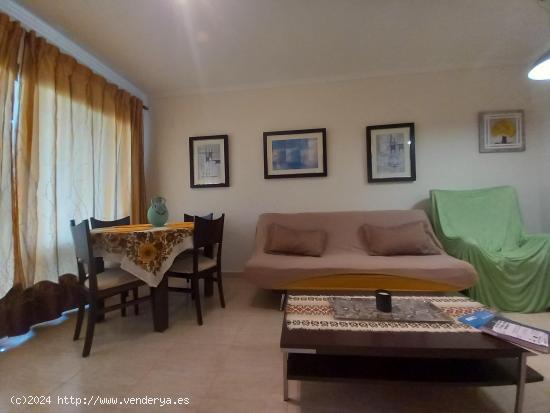 ALQUILER APARTAMENTO CALA DE VILLAJOYOSA - ALICANTE