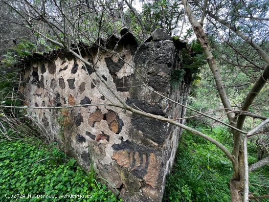 FINCA RÚSTICA EN LA CUEVA DEL VIENTO ICOD DE LOS VINOS - SANTA CRUZ DE TENERIFE