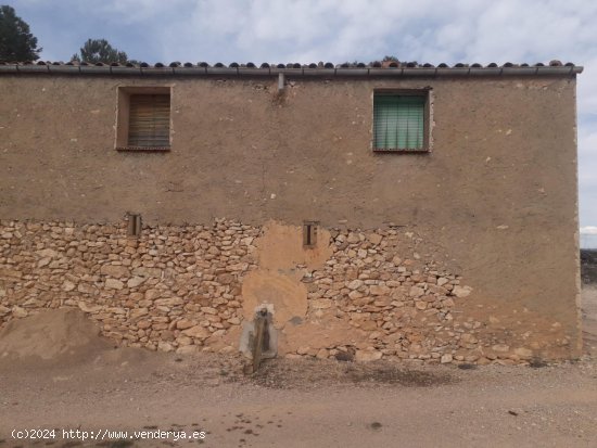 Suelo rústico en venta  en Mora d Ebre - Tarragona