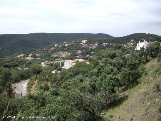 Suelo urbano en venta  en Calonge - Girona