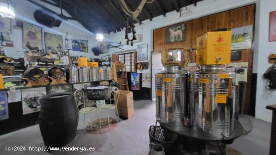 ¡Oportunidad única en el centro de Pilas! Preciosa y singular bodega y despacho de vinos!!!