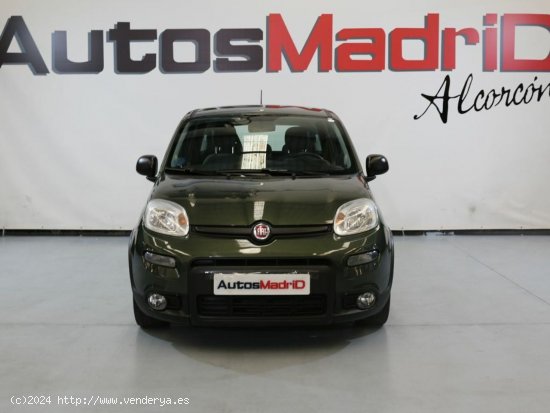 Fiat Panda City Life Hybrid 1.0 Gse 51kw (70CV) - Alcorcón