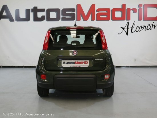 Fiat Panda City Life Hybrid 1.0 Gse 51kw (70CV) - Alcorcón