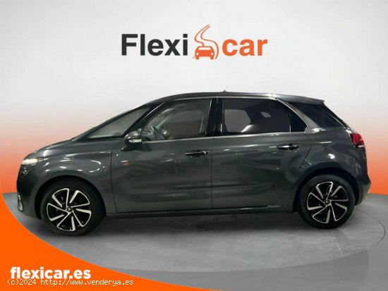 Citroën C4 Picasso PureTech 96KW (130CV) S&S 6v Shine - 5 P (2017) - San Andrés de Palomar