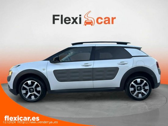 Citroën C4 Cactus BlueHDi 73KW (100CV) Shine - Alicante