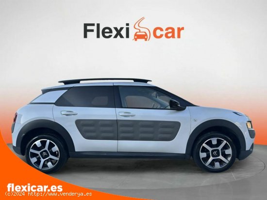 Citroën C4 Cactus BlueHDi 73KW (100CV) Shine - Alicante