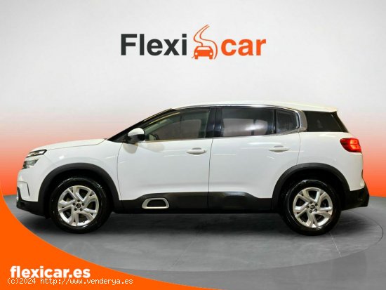 Citroën C5 Aircross BlueHdi 96kW (130CV) S&S Live Pack - Vigo