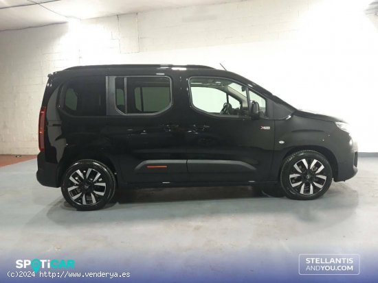 Citroën Berlingo  Talla M BlueHDi 130 S&S  Auto Max - Sant Feliu de Llobregat