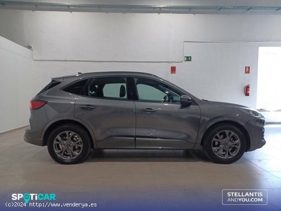 Ford Kuga   1.5T EcoBoost 110kW (150CV) ST-Line - Granada