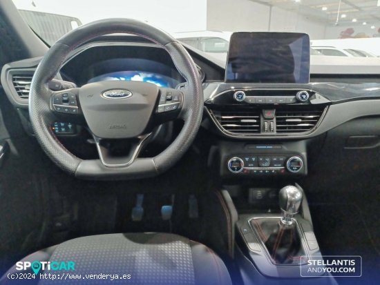 Ford Kuga   1.5T EcoBoost 110kW (150CV) ST-Line - Granada