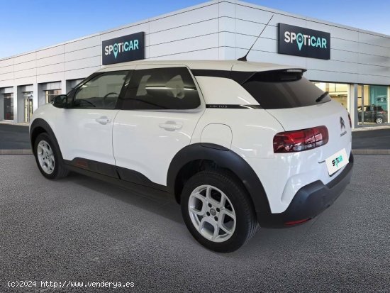 Citroën C4 Cactus  PureTech 110 S&S Shine - Figueres