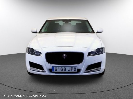 JAGUAR XF en venta en LalÃ­n (Pontevedra) - LalÃ­n