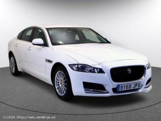 JAGUAR XF en venta en LalÃ­n (Pontevedra) - LalÃ­n