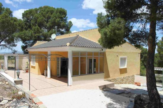  VENTA-FINCA-JUMILLA-MURCIA- CASA 150 M2- PARCELA TOTAL 60.000 M2-PRECIO 265.000 EUR - MURCIA 