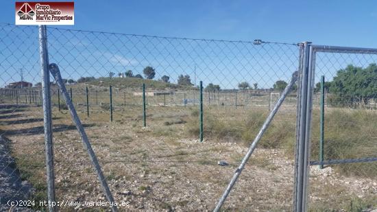 Parcela rustica en Albacete - ALBACETE