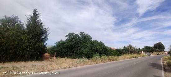 TERRENO URBANIZABLE SECTORIZADO EN ALMENSILLA - SEVILLA