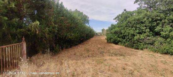 TERRENO URBANIZABLE SECTORIZADO EN ALMENSILLA - SEVILLA