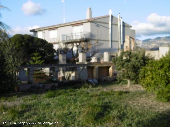 Casa de tres plantas a 3 minutos de la población de Xerta (Tarragona)  limita con el Rio Ebro. - TA