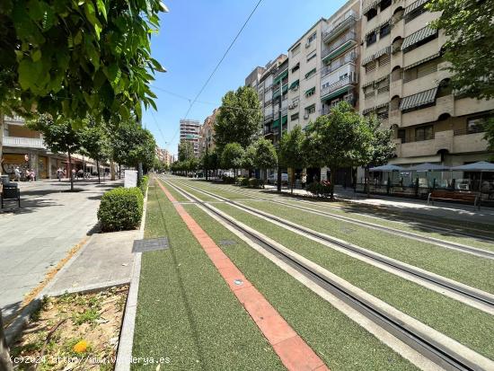 VENTA DE LOCAL EN GRANADA AVDA.ANDALUCES - GRANADA