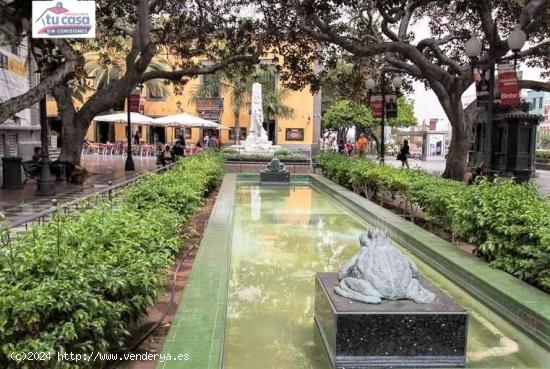 Se Alquila en Las Palmas de Gran Canaria - LAS PALMAS