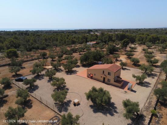  Magnífica Finca Rústica con casa unifamiliar aislada, a tan solo 3 km de la playa - TARRAGONA 