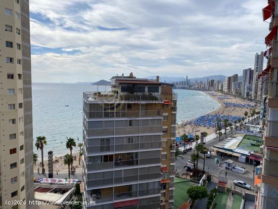 Alquiler temporal hasta junio 2025 en la Playa Levante en Benidorm. - ALICANTE