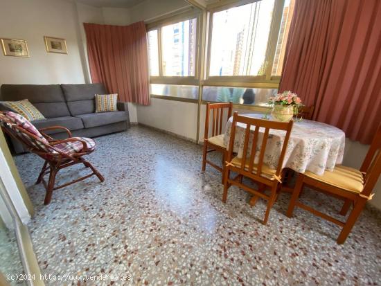 1 DORMITORIO - ALICANTE