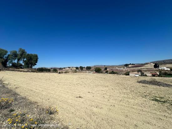 PARCELA 20 TAHULLAS ZONA EL ACHO, MAGNIFIVA UBICACION!!! - MURCIA