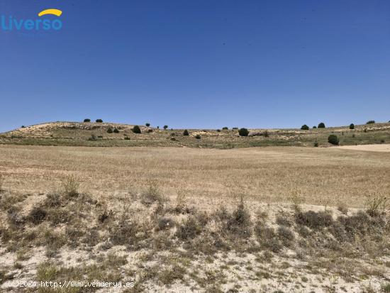  Venta de terrenos rústicos en Peñaranda de Duero - BURGOS 