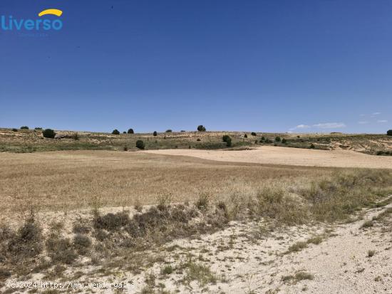 Venta de terrenos rústicos en Peñaranda de Duero - BURGOS