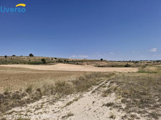 Venta de terrenos rústicos en Peñaranda de Duero - BURGOS