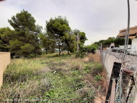 Ocasión, parcela urbanizable en el Rincón de Loix, Playa Levante Benidorm - ALICANTE