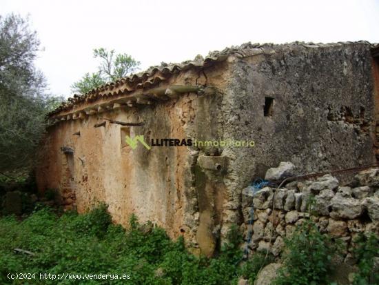 Rústica edificable con luz y agua además de proyecto aprobado de edificación. - BALEARES