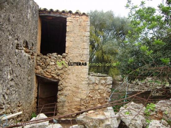 Rústica edificable con luz y agua además de proyecto aprobado de edificación. - BALEARES