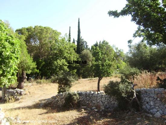 Fantástica finca para restaurar con vistas increíbles - BALEARES