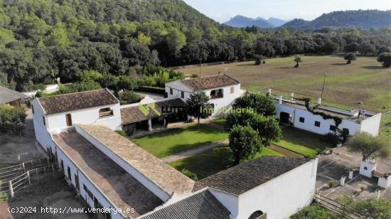 MAJESTUOSA finca con vistas, ideal para caballos - BALEARES