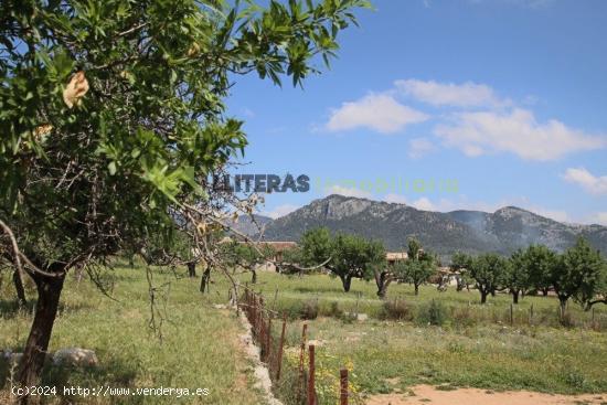 Solar Urbano en Moscari - BALEARES