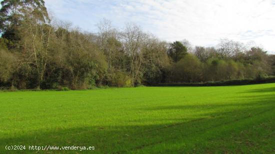 Venta de parcela rústica en Ruiloba - CANTABRIA