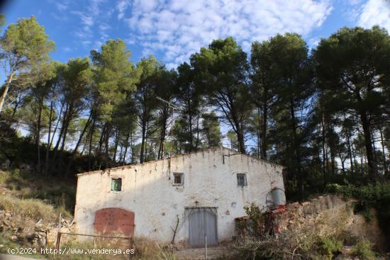  MASIA CATALOGADA - TARRAGONA 