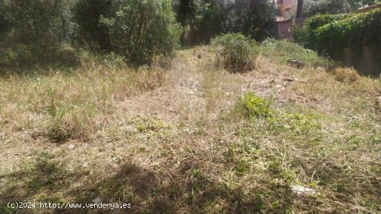 Terreno muy buen ubicado En Cubellas - BARCELONA