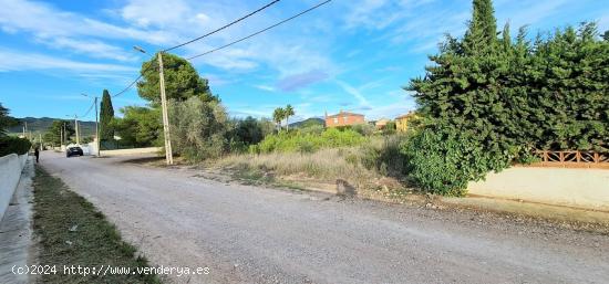 2 PARCELAS EN 1 COMPLETAMENTE LLANAS CON UN TOTAL DE 2300M² - TARRAGONA